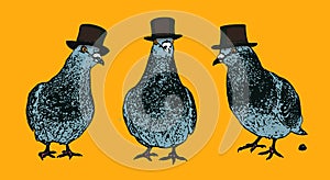 Vector Illustration of a Piggeon with Top Hat