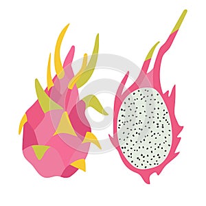 Vector illustration of pink dragon fruit and half of dragon fruit isolated on a white background.