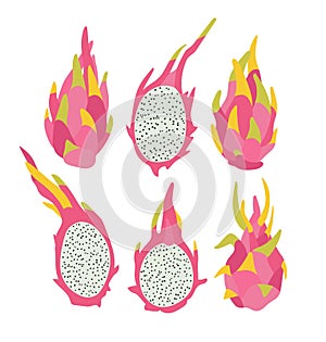 Vector illustration of pink dragon fruits and half of dragon fruits isolated on a white background.