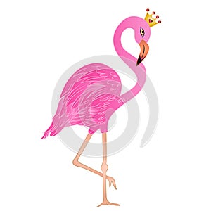 Vector Illustration Pink Flamingo