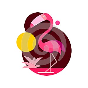 Vector illustration pink flamingo isolated on white background