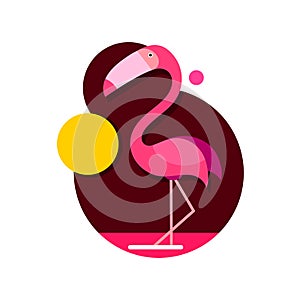 Vector illustration pink flamingo isolated on white background