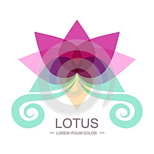 Vector illustration of pink lotus flower. Abstract floral logo d