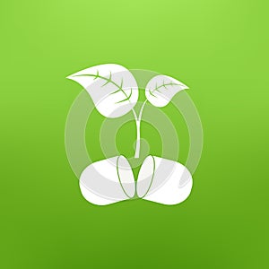 Vector illustration with plant growing from pill in flat design on green background.