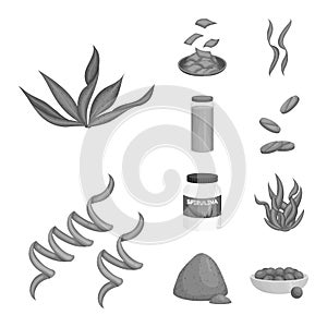 Vector illustration of plant and weed symbol. Set of plant and sea stock symbol for web.