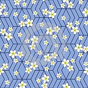 plumeria flowers on hexagonal grid with cornflower blue color background seamless repeat pattern.