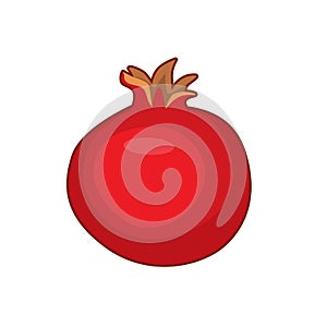 Vector illustration of pomegranate fruit