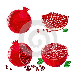 Vector illustration of pomegranate fruits