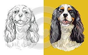 Vector illustration portrait of cute funny dog Cavalier King Charles Spaniel