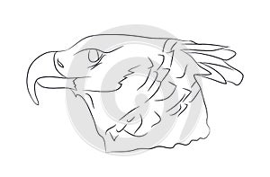 Vector illustration of portrait of eagle, drawing by lines