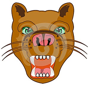 Vector illustration of the portrait of the wildlife puma