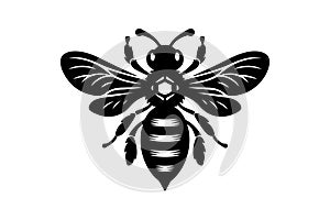 Bee Silhouette Vector Illustration EPS
