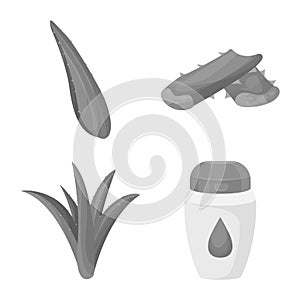 Vector illustration of product and botany symbol. Set of product and ingredient stock vector illustration.
