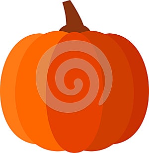 Vector Illustration Pumpkin Isolated on White Background.