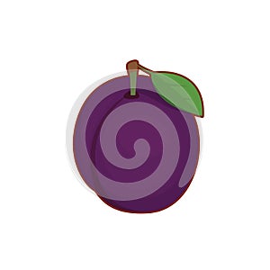 Vector illustration of purple plum