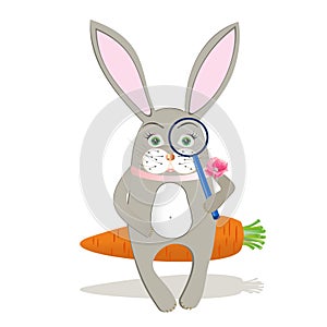 Vector illustration of rabbit with magnifying glass and carrot not found page, error 404