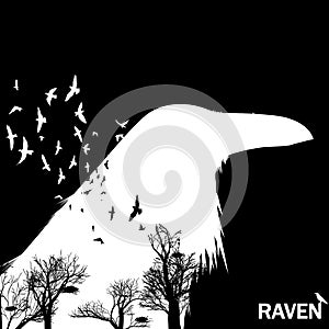 Vector illustration of the raven head silhouette with the fluttering wings. Double exposure effect.
