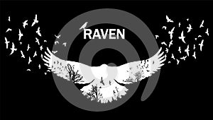 Vector illustration of the raven silhouette with the fluttering wings. Double exposure effect.