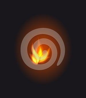 Vector illustration. Realistic fire