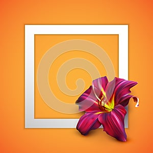 Vector illustration of realistic lily flower