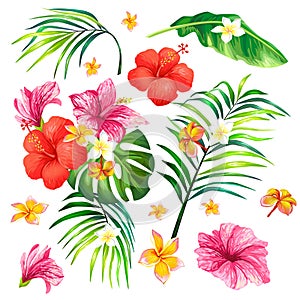 Vector illustration of a realistic style branch of a tropical palm tree with hibiscus flowers