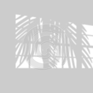 Vector illustration of realistic tropical shadow overlay effect. Blurred transparent soft light shadow from window and palm leaves