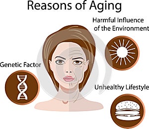 Vector illustration with reasons of aging, isolated photo