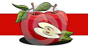 Vector illustration of red apples fruits on white and red line.