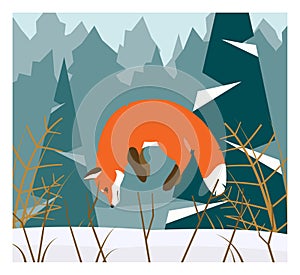Vector illustration of red fox hunting in the snowy forest. Fox jumping to hunt for mouse.