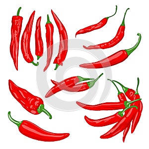 Vector illustration of red vegetables of cayenne hot pepper on a white background
