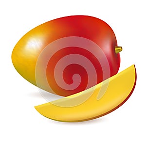 Vector illustration of Ripe fresh mango with slice