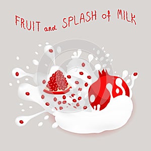 Vector illustration for ripe fruit red garnet