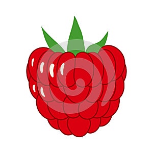 Vector illustration of ripe juicy raspberry with green leaves. Healthy diet summer berries fruits vitamins. Icon sticker