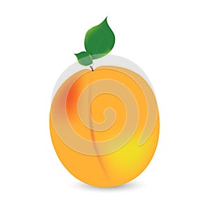 Vector illustration of ripe peach with leaves isolated on a white background.