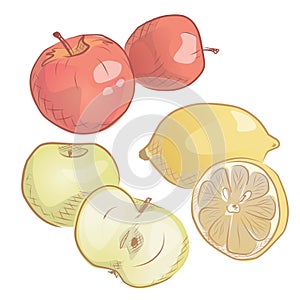 Vector illustration of ripe red apple, green apple, lemon. Hand drawn sketh