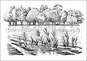 Vector illustration of river landscape with trees, water waves and reflexion. Black and white sketch.