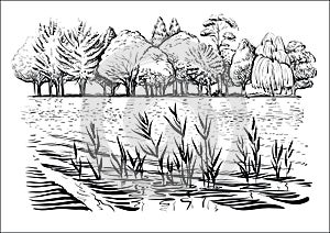 Vector illustration of river landscape with trees, water waves and reflexion. Black and white sketch. photo
