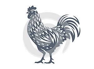 Vector illustration of rooster