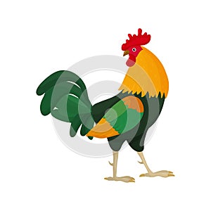 Vector illustration of a rooster in cartoon style with green feathers in the tail looks back. Bright rooster as a symbol or mascot