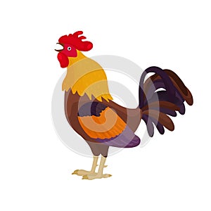 Vector illustration of a rooster in a cartoon style sings. Bright rooster crows as a symbol or mascot for children`s books,