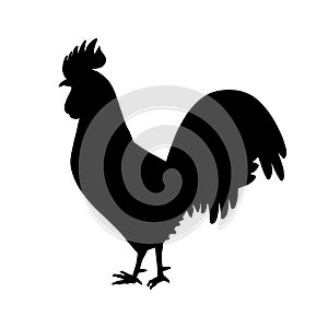 Vector illustration rooster silhouette