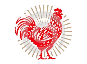 Vector illustration of rooster, symbol 2017