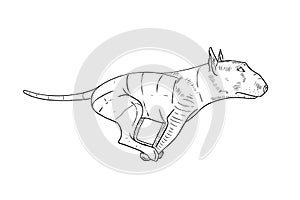 Vector illustration of a running bull terrier