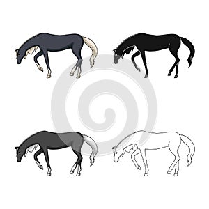 Vector illustration of running and horse icon. Collection of running and hoofed vector icon for stock.