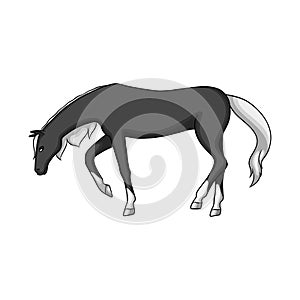 Vector illustration of running and horse sign. Collection of running and hoofed stock vector illustration.