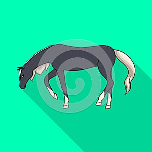 Vector illustration of running and horse sign. Collection of running and hoofed vector icon for stock.