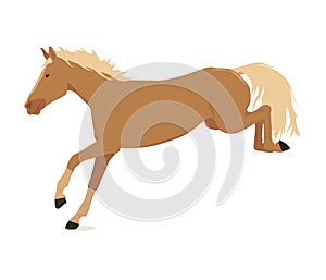 Vector illustration of a running and jumping horse in beige color isolated