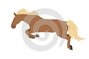 vector illustration of a running and jumping horse in brown color isolated on a white background.