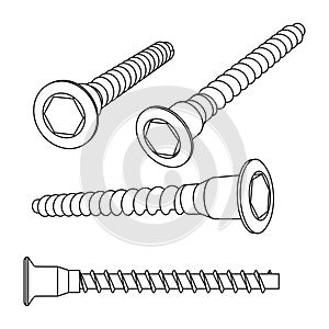 Vector illustration of screws