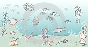 Vector illustration of sea bottom with various plants and creatures